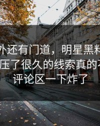 热闹之外还有门道，明星黑料这场争议那个压了很久的线索真的不简单，评论区一下炸了