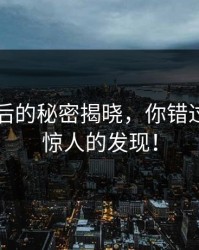 91网背后的秘密揭晓，你错过了这个惊人的发现！