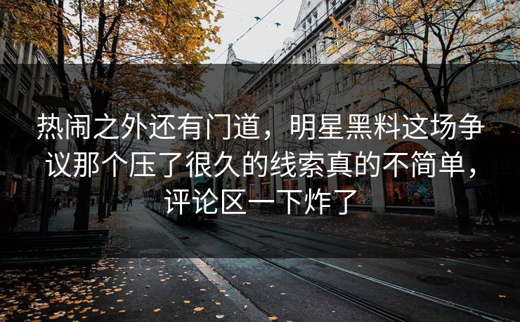 热闹之外还有门道，明星黑料这场争议那个压了很久的线索真的不简单，评论区一下炸了