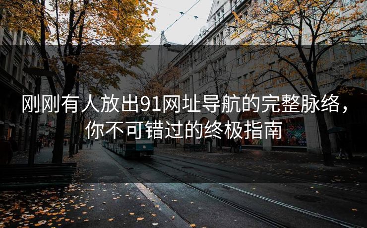 刚刚有人放出91网址导航的完整脉络，你不可错过的终极指南
