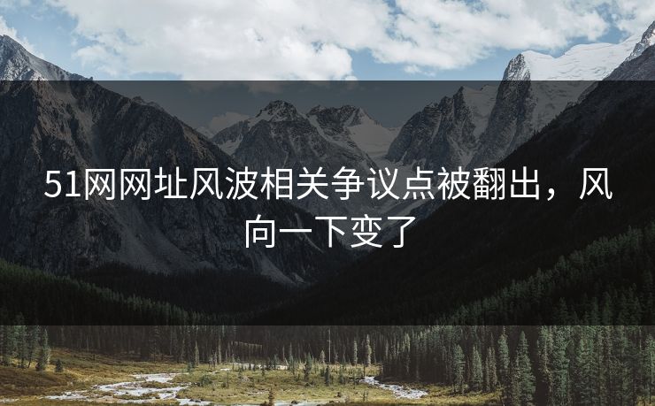 51网网址风波相关争议点被翻出，风向一下变了