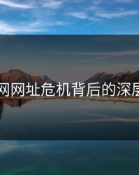 揭秘51网网址危机背后的深层次问题
