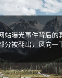 51视频网站曝光事件背后的真相：未公开部分被翻出，风向一下变了