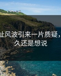 51网网址风波引来一片质疑，忍了很久还是想说