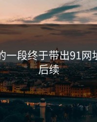被忽略的一段终于带出91网址导航的后续