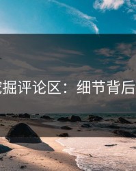 深度挖掘评论区：细节背后的真相