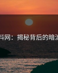 51爆料网：揭秘背后的暗流涌动