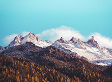 明星黑料连夜刷屏不难懂，难的是几乎没人提的背景线