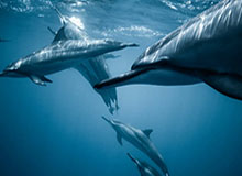 看似普通的一条更新，51吃瓜争议被点破出一串截图