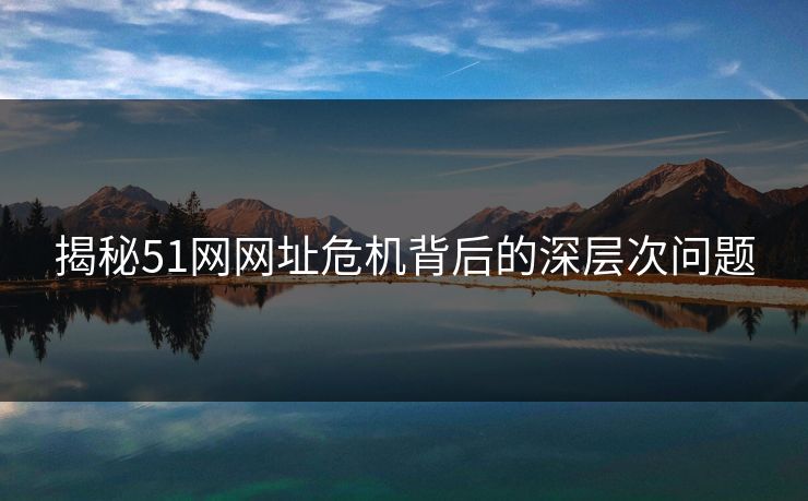 揭秘51网网址危机背后的深层次问题