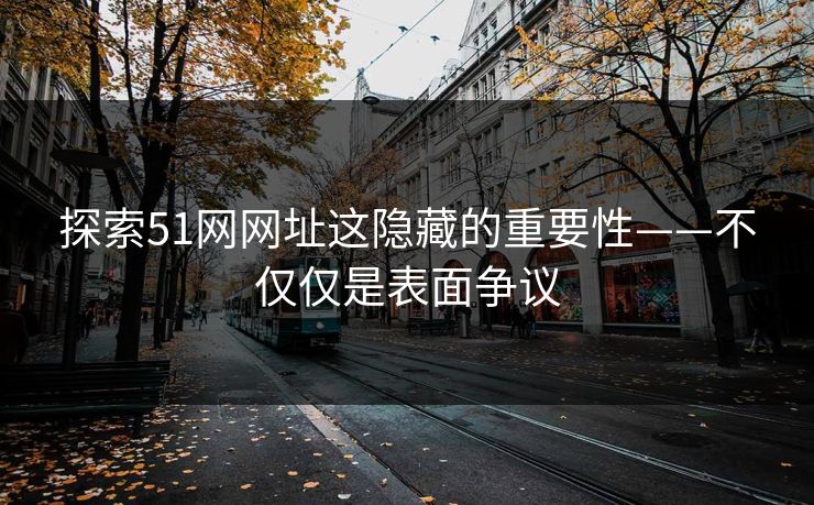 探索51网网址这隐藏的重要性——不仅仅是表面争议