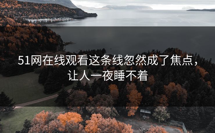 51网在线观看这条线忽然成了焦点，让人一夜睡不着